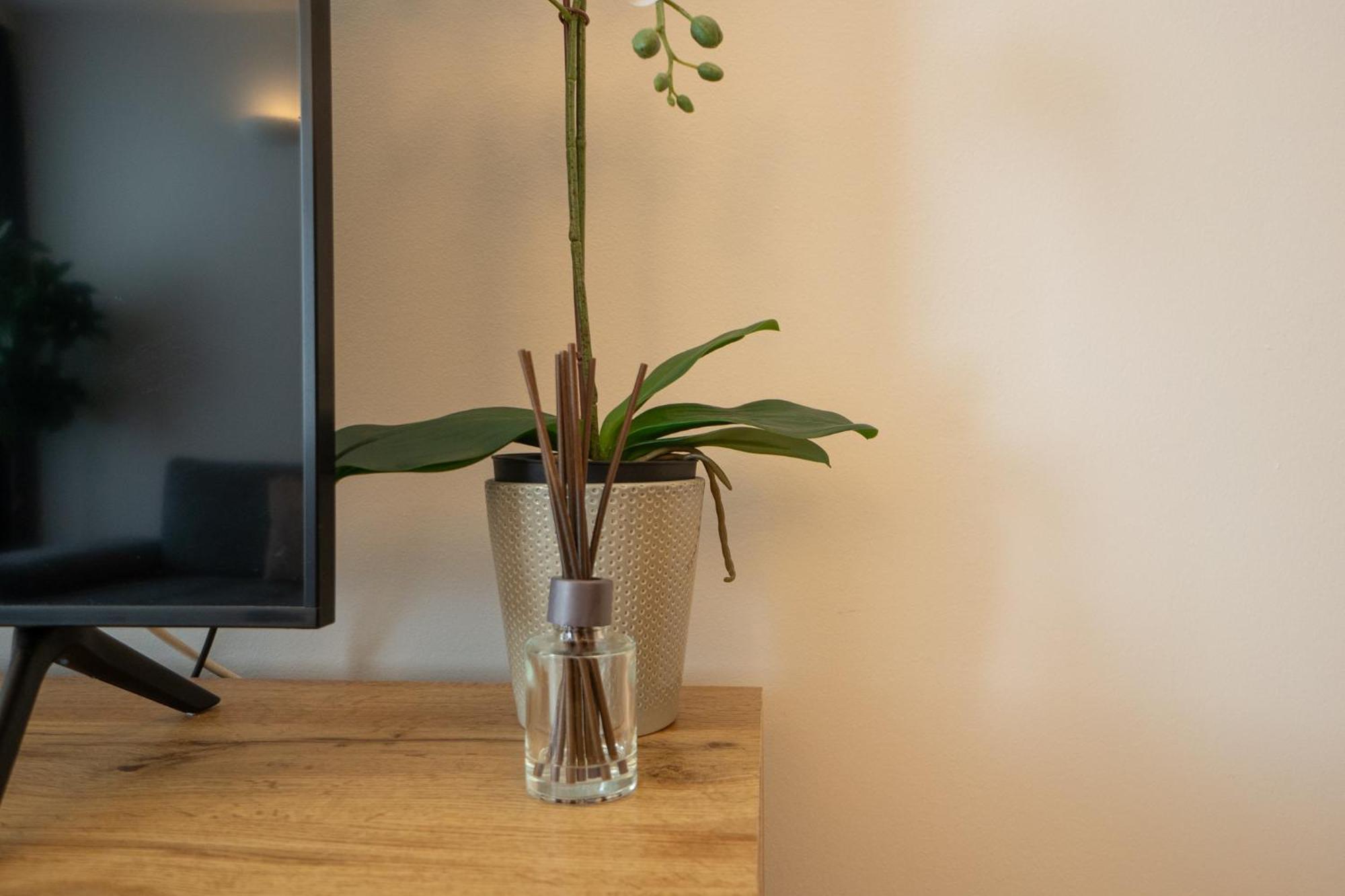 Charming With Balcony, Close To Stephansdom Cathedral Apartment Wien