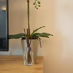 Charming Apartment With Balcony, Close To Stephansdom Cathedral